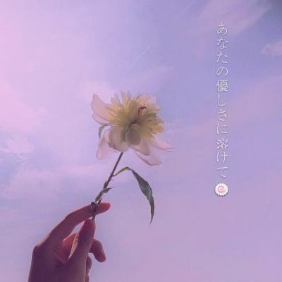 新宝体育官方登录入口